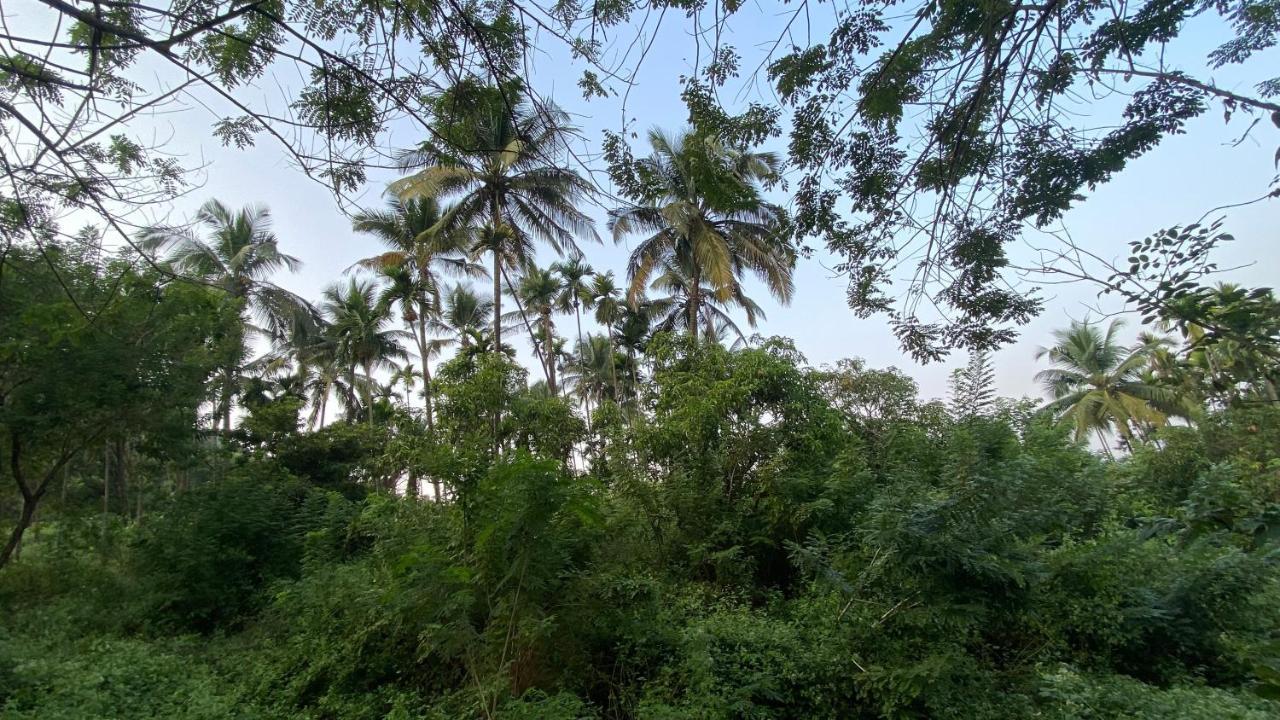 Vila Lermitage Farms Kashid Alibaug Exteriér fotografie