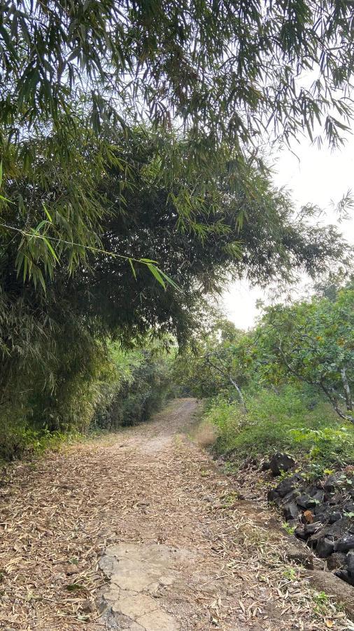 Vila Lermitage Farms Kashid Alibaug Exteriér fotografie