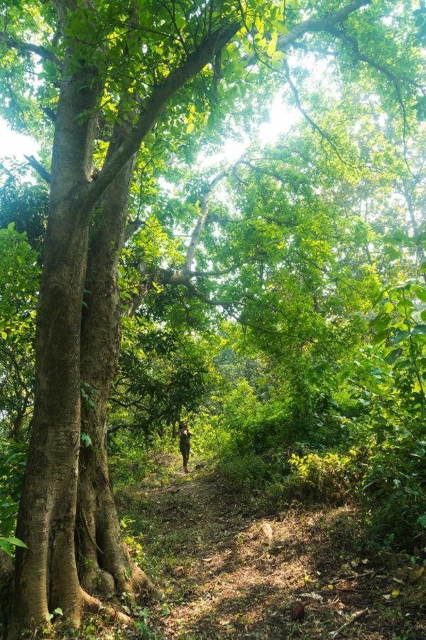 Vila Lermitage Farms Kashid Alibaug Exteriér fotografie